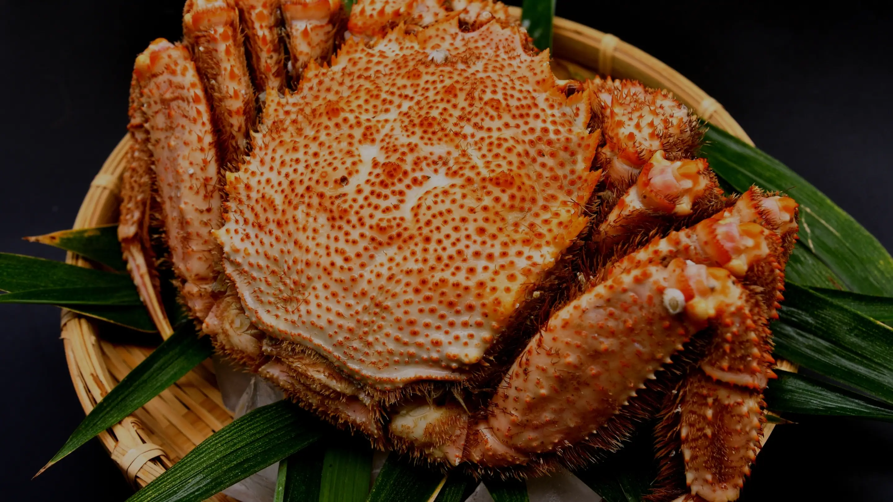 ふるさと納税・カニ